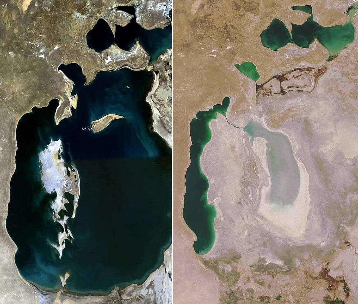 Images satellites de la mer d'Aral en 1989 et en 2008