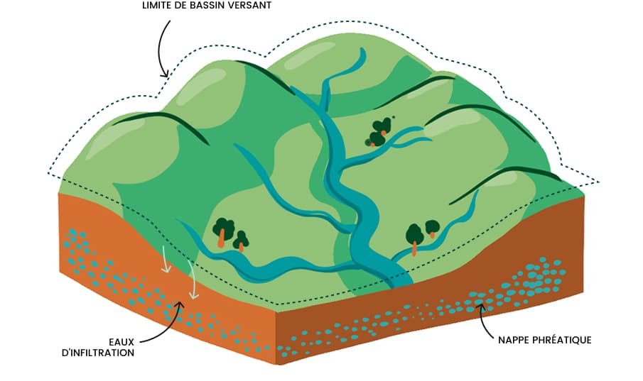 Schéma d’un bassin versant illustrant les écoulements de surface et l’infiltration vers une nappe phréatique